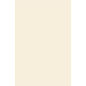 REVESTIMENTO 33X50A 66100 (2,48/148,80) INCENOR